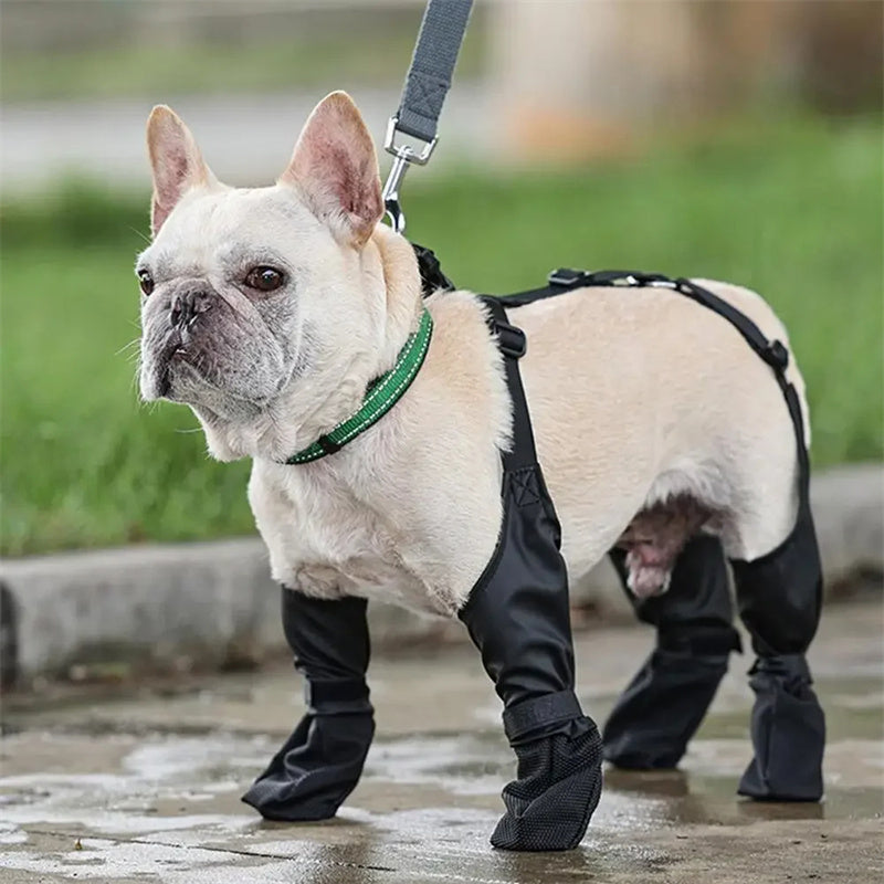 Botas Impermeables para Perros – Protección Antideslizante y Transpirable para Patas en Paseos y Exterior